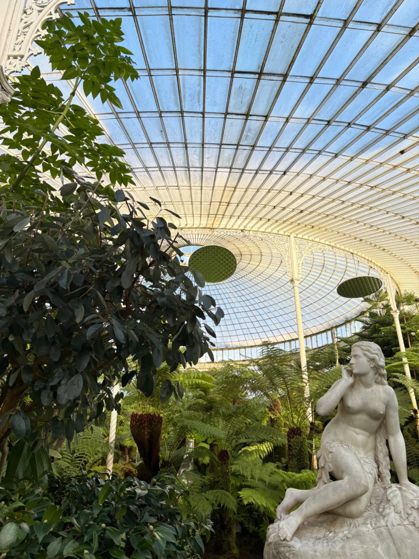 La Kibble Palace des Botanic Gardens de Glasgow, verrière et fougères